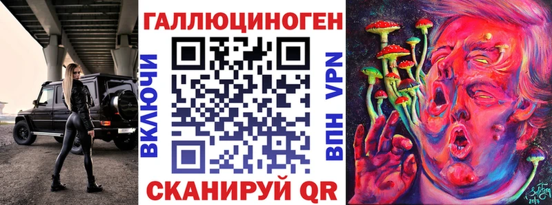 ОМГ ОМГ ТОР  Новочеркасск  Галлюциногенные грибы Cubensis 