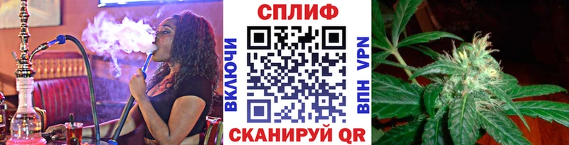 MEGA зеркало  Новочеркасск  Бошки Шишки тримм  цены наркотик 