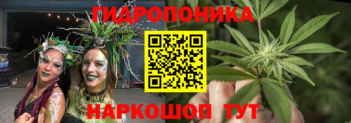 Бошки Шишки THC 21%  Вход с VPN  Бошки марихуана планчик  Новочеркасск 